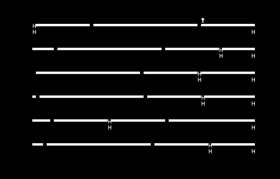 LEST.GAM скриншот